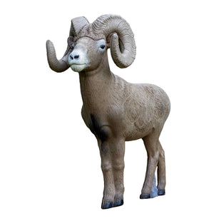 Rinehart 1/2 Scale Bighorn Sheep