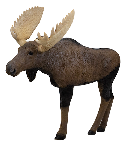 Rinehart One Third Scale Moose