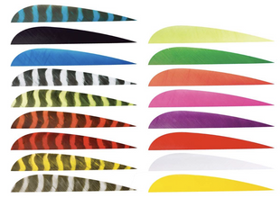 Trueflight 3" Parabolic Right Wing Feathers (Individual)